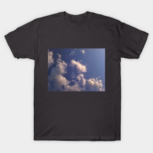 Sky - 4 T-Shirt